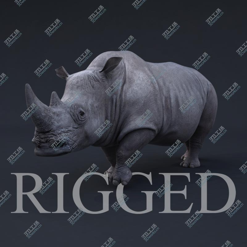 images/goods_img/2021040161/Rhino RIGGED/1.jpg